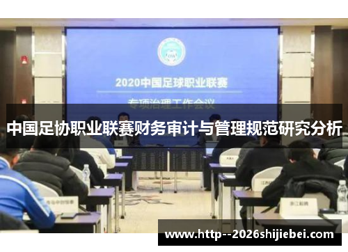 中国足协职业联赛财务审计与管理规范研究分析 中国足协职业联赛财务审计与管理规范研究分析