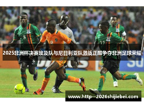 2025非洲杯决赛埃及队与尼日利亚队激战正酣争夺非洲足球荣耀